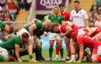 faf-de-klerk-springboks-2024-v-wales-alamy16.webp