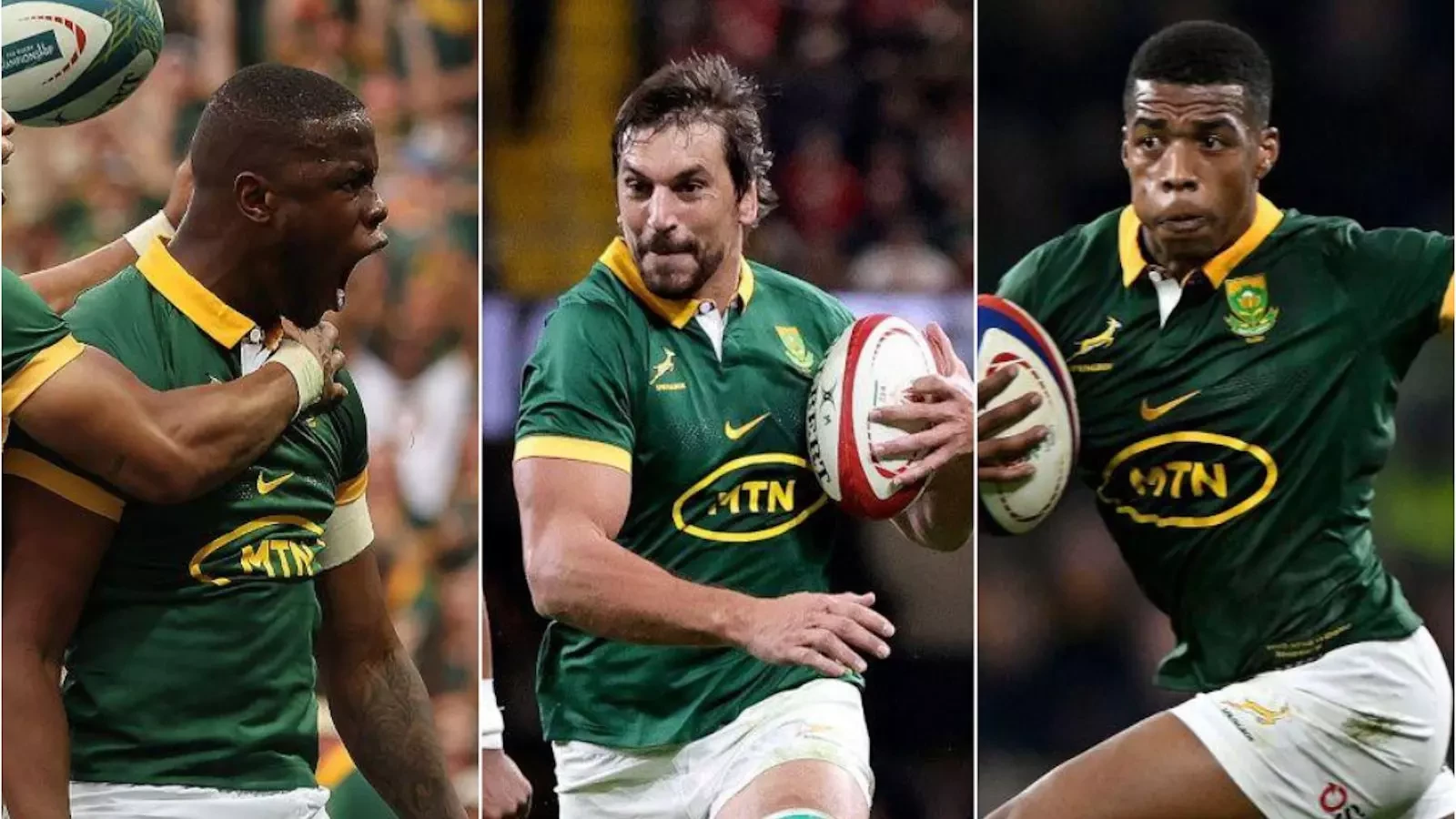 Sharks coach John Plumtree gives positive update on injured Springbok ...