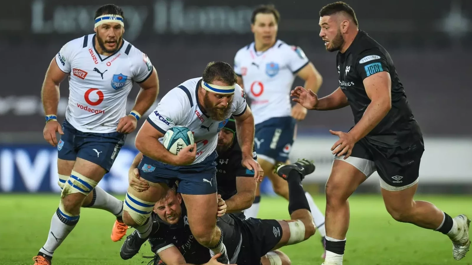 Bulls focused on teamwork as start of new URC season draws nearer | rugby