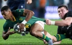 grant-williams-springboks-v-all-blacks-202516.webp