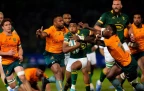 grant-williams-springboks-v-australia-202316.webp