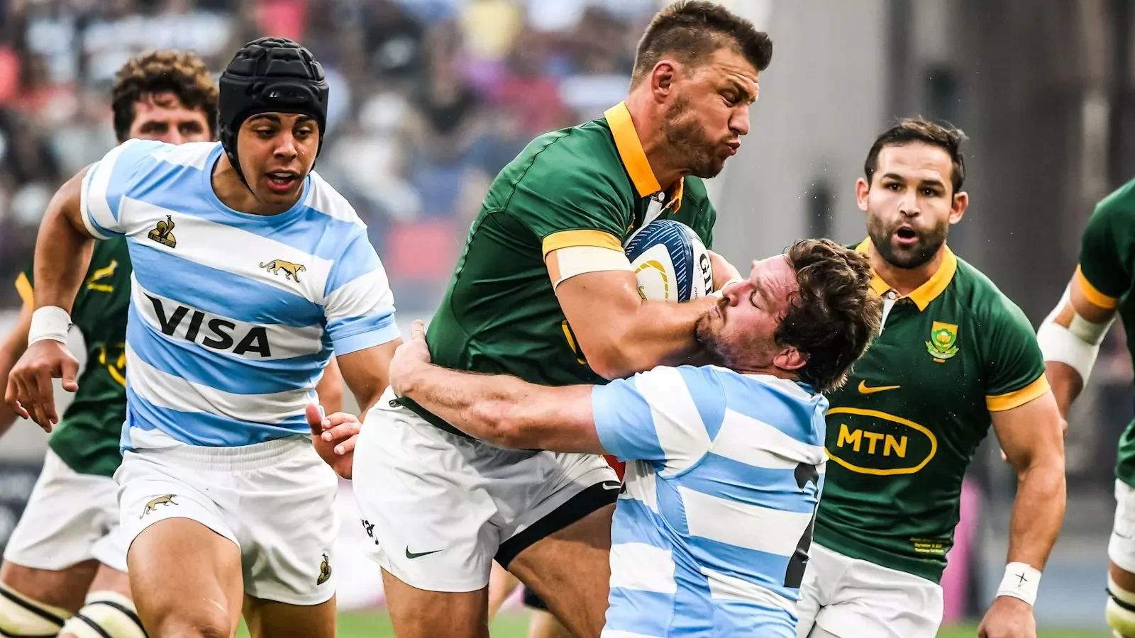 Springbok Rugby Round What the Springboks need to do to win the 2024 Rugby Championship | rugby
