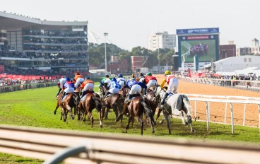 Horse racing action of jockeys races at Greyville racecouse