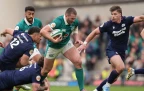 ireland-vs-scotland-rugby16.webp