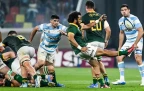 jaden-hendrikse-springboks-202416.webp