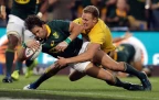 jan-serfontein-springboks-2027-alamy16.webp