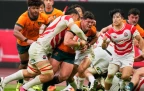 japan-v-wallabies-oct-202516.webp