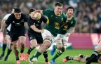 jasper-wiese-springbok-v-all-blacks-rgr-1-2026-bpp16.webp