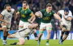 jasper-wiese-springboks-v-england-2024-alamy16.webp