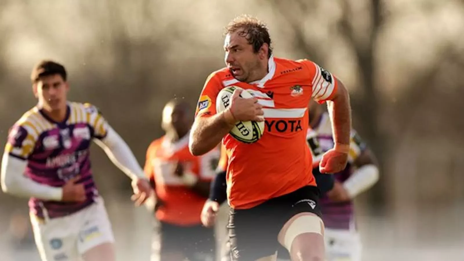 Cheetahs victorious at the death against Zebra Parma in Amsterdam | rugby