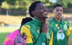 jerome-karelse-of-golden-arrows-scored-24-october-2026-(backpage)16.webp