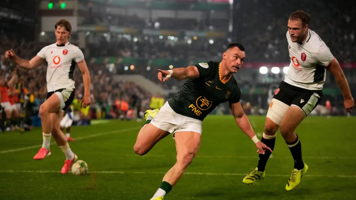 Springboks cruise past Wales as new faces shine in dominant Durban display Springboks cruise past Wales as new faces shine in dominant Durban display
