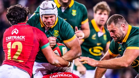 Bulls duo Johan Grobbelaar and Wilco Louw join Bok squad for end-of-year tour