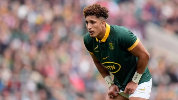 Hendrikse brothers at halfback for Springboks' season finale in Cardiff