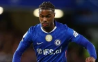 jorrel-hato-of-chelsea-august-202616.webp