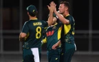 josh-hazlewood-t20i-celebration16.webp