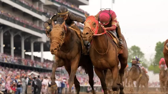 Fortune favours the bold: High-risk, high-reward bets for the Kentucky Derby