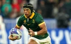 kurt-lee-arendse-2023-springboks.webp