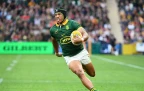 kurt-lee-arendse-for-the-springboks-aug-202416.webp