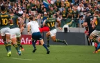 kurt-lee-arendse-rgr4-springboks-alamy16.webp