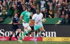 kurt-lee-arendse-springboks-v-ireland-202416.webp