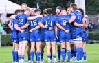 leinster16.webp