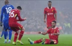 liverpool-forward-cody-gakpo-celebrates-scoring16.webp