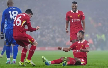 liverpool-forward-cody-gakpo-celebrates-scoring16