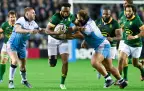 lukhanyo-am-springboks-v-scotland-alamy16.webp