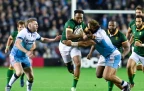 lukhanyo-am-springboks-v-scotland-nov-202416.webp