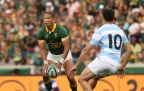 manie-libbok-springboks-v-argentina-202416.webp