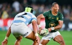 manie-libbok-springboks-v-argentina-2025-bpp16.webp