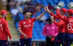 mark-wood-celebrates-wicket-against-oman-t20-world-cup-june-13-202416.webp