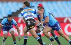 Currie Cup: Griquas and Stormers win while Sharks, Lions stumble