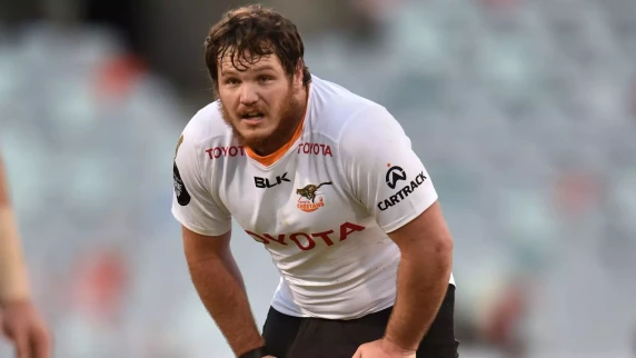 Cheetahs hooker Marnus van der Merwe signs with Scarlets