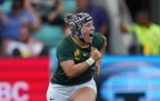 micke-gunter-springbok-women-2025-alamy16.webp
