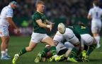 morne-van-den-berg-springboks-v-italy-2025-alamy16.webp