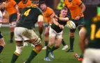 morne-van-den-berg-springboks-v-wallabies-2024-alamy16.webp