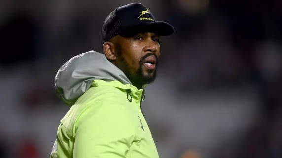 Springbok coaches renew contracts for four years