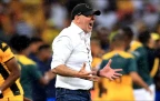 nasreddine-nabi-kaizer-chiefs-boss16.webp