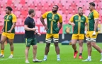 new-springboks-2026-bpp16.webp
