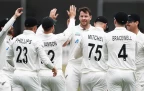 new-zealand-test-wicket-celebration16.webp