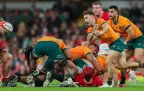 nic-white-2024-wallabies-v-wales-alamy16.webp