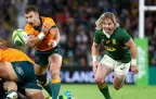 nic-white-v-springboks-202116.webp