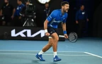 novak-djokovic-wild-scream16.webp