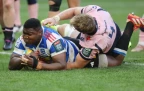 Stormers overcome stubborn Cardiff in Cape Town to book URC semi-final
