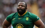 ox-nche-for-the-springboks-oct-4-202516.webp
