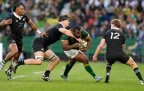 ox-nche-springboks-202416.webp