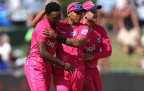 paarl-royals-sa20-wicket-celeb.webp