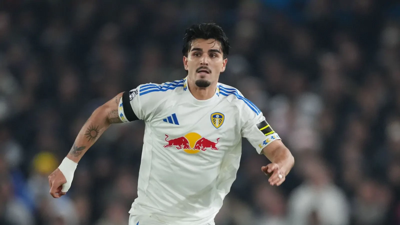 Brighton land Pascal Struijk in 20 million pound deal as Leeds cash in ...